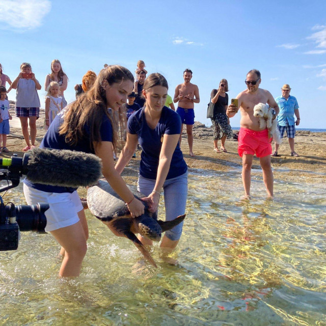 Puštanje kornjače Zdravke