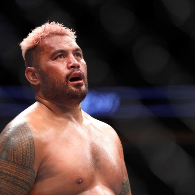 Mark Hunt 