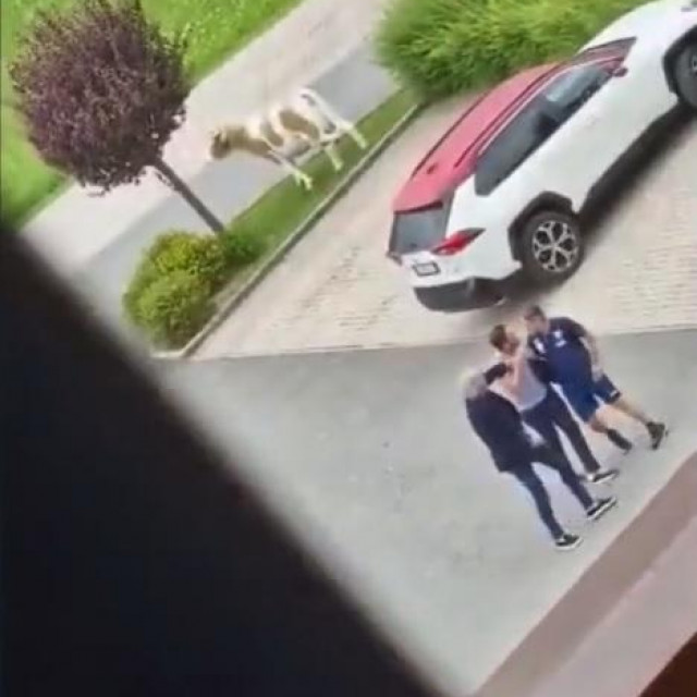 Ivan Jurić se žestoko zakačio sa sportskim direktorom Torina