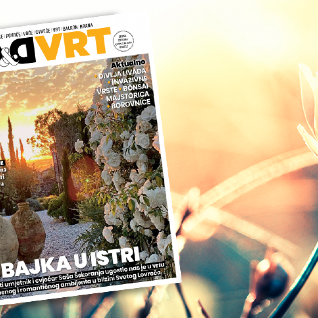 Novi D&D VRT na kioscima od 1. 8.