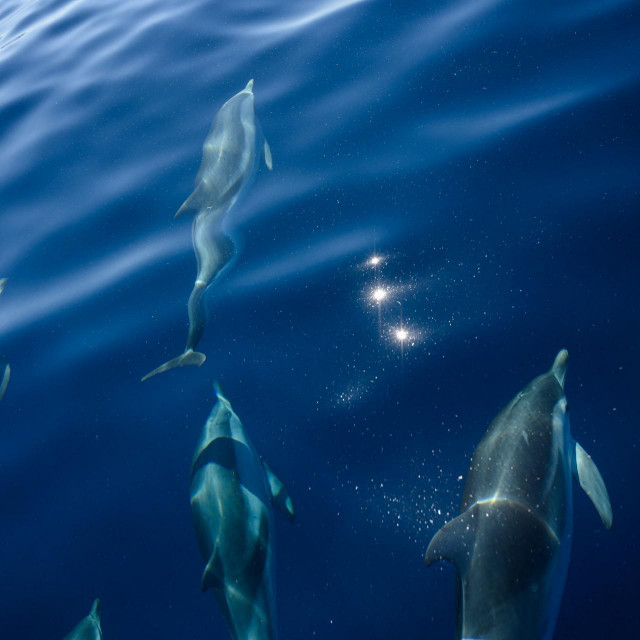 Prizor iz Francuske (arhivska fotografija)