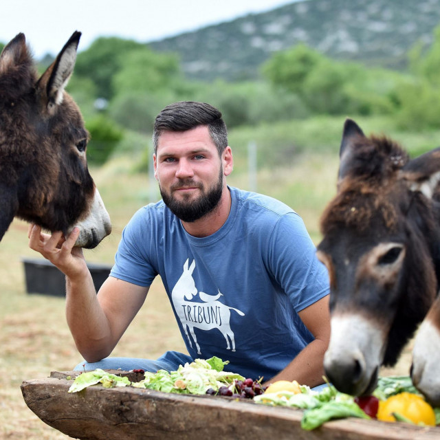 Nikola Perkov-Stipičin
