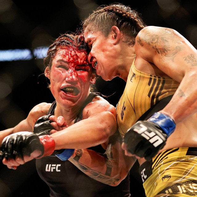 Julianna Pena vs. Amanda Nunes