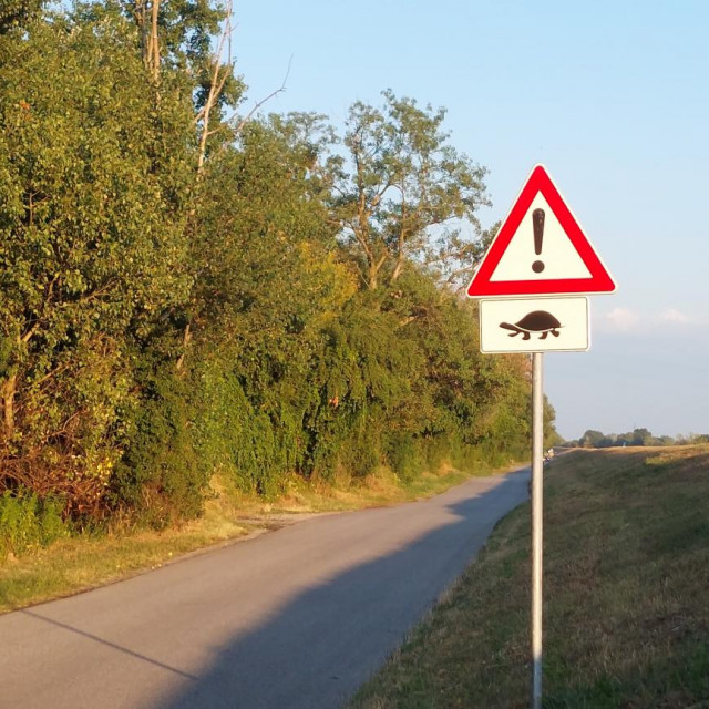 Prometni znak za kornjače