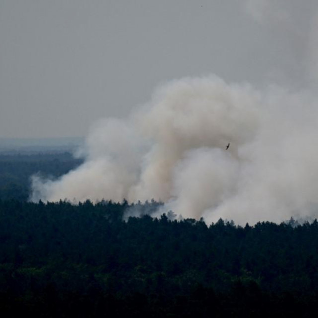 požar u šumi Grunewald u Berlinu