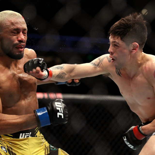 Deiveson Figueiredo vs Brandon Moreno