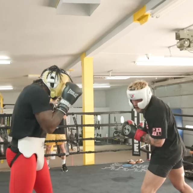 Paul vs Rahman