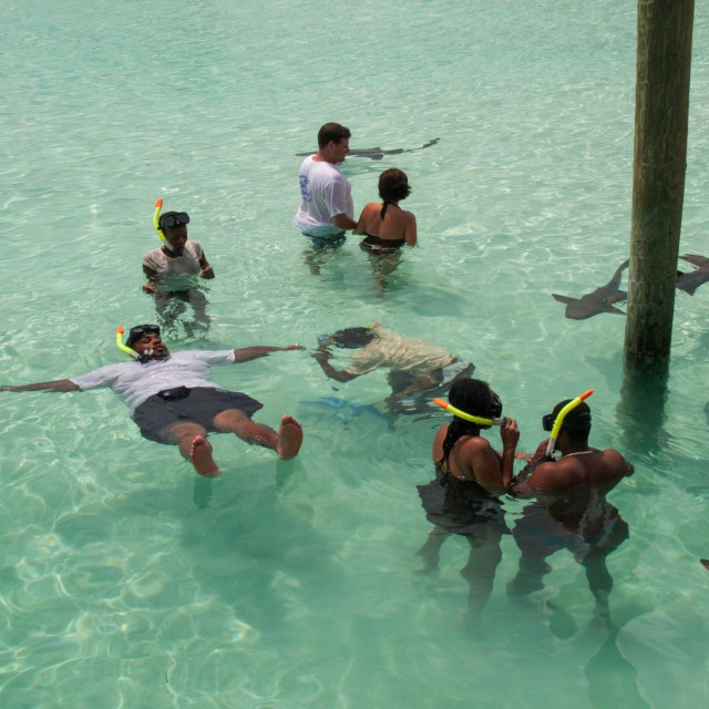 Compass Cay na Bahamima