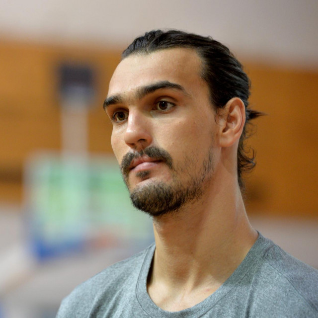 Dario Šarić