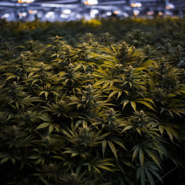 Ilustrativna fotografija