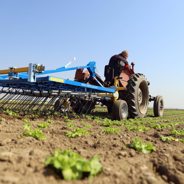 Poljoprivrednik kod Varaždina, ilustracija
