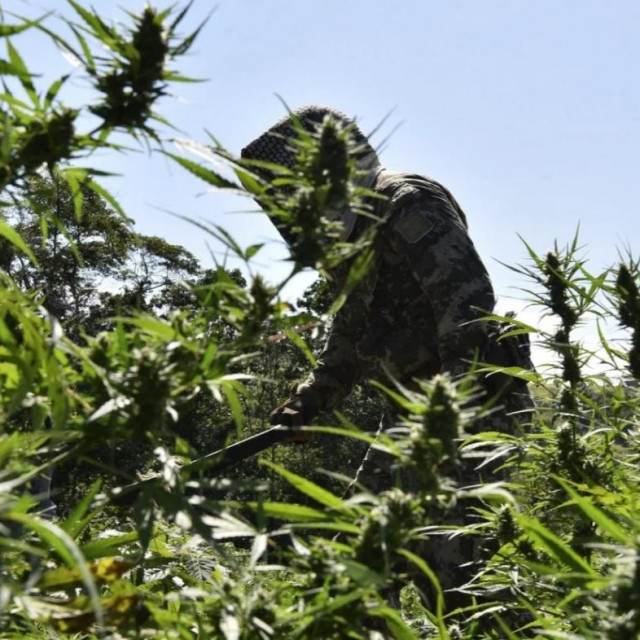 ilustrativna fotografija