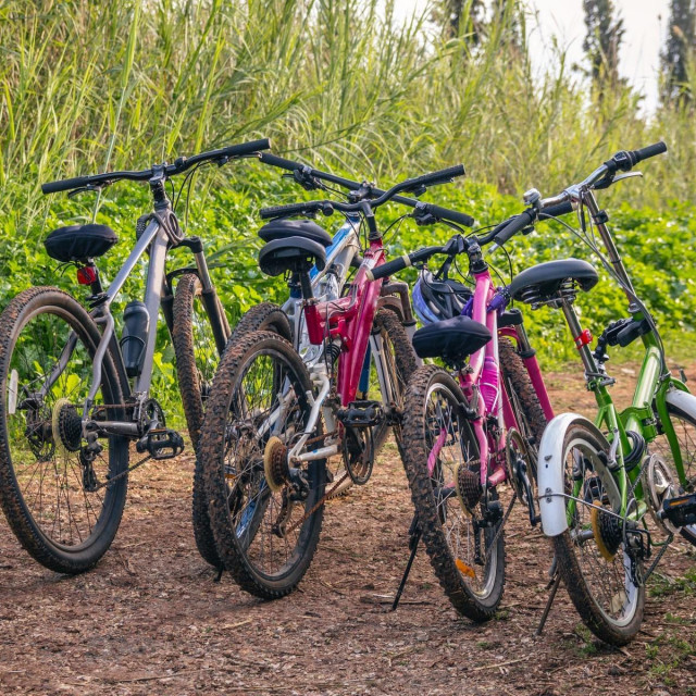 ilustrativna fotografija