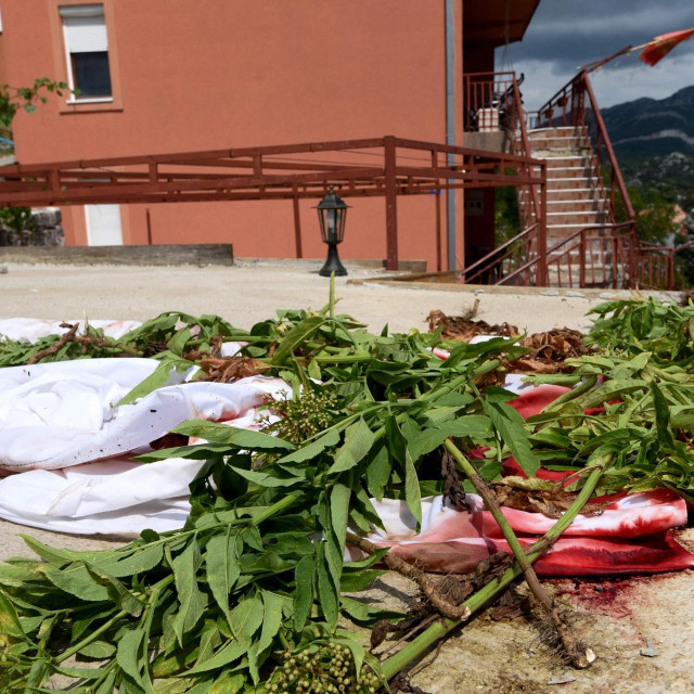 Prizor s mjesta zločina