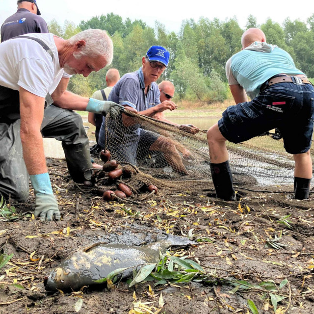 Isušena rijeka Rajna u Njemačkoj/Ilustracija
