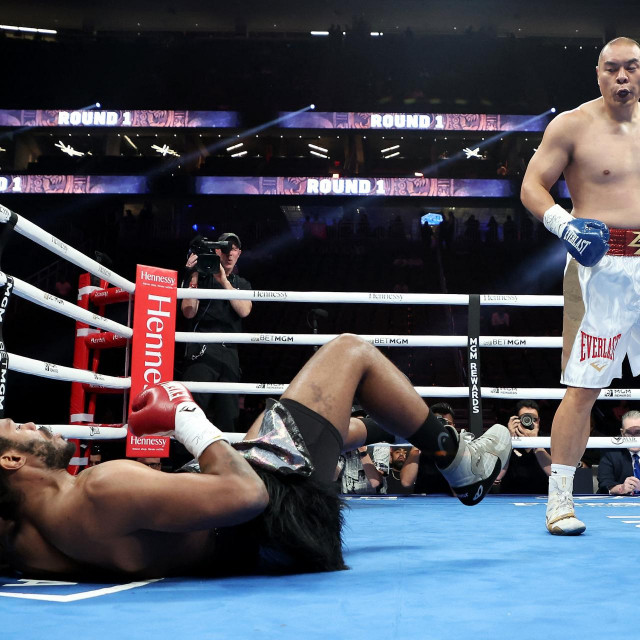Zhilei Zhang vs. Scott Alexander