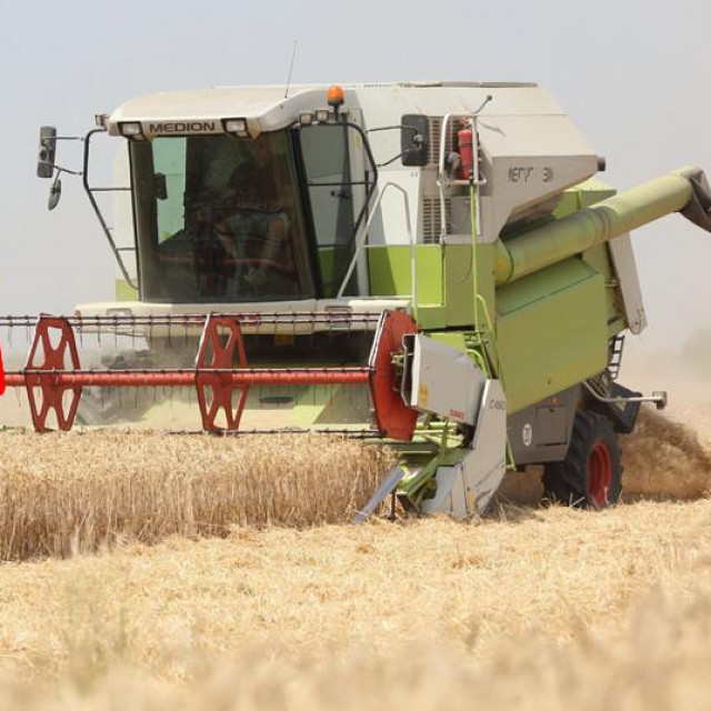 Domaće cijene sirovog mlijeka idu obratnim smjerom od globalnih kretanja, od početka ukrajinskog rata porasle su za 74 lipe po litri