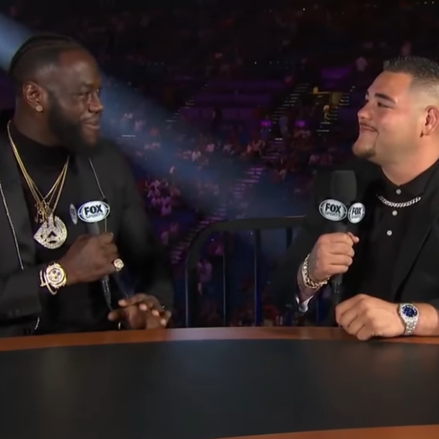 Ruiz i Wilder