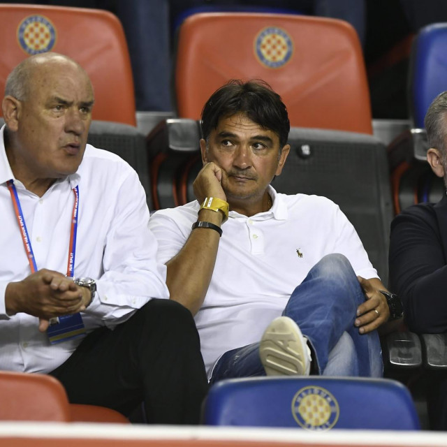 Boro Primorac, Zlatko Dalić i Stipe Pletikosa u loži