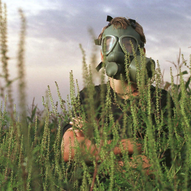 Ilustrativna fotografija