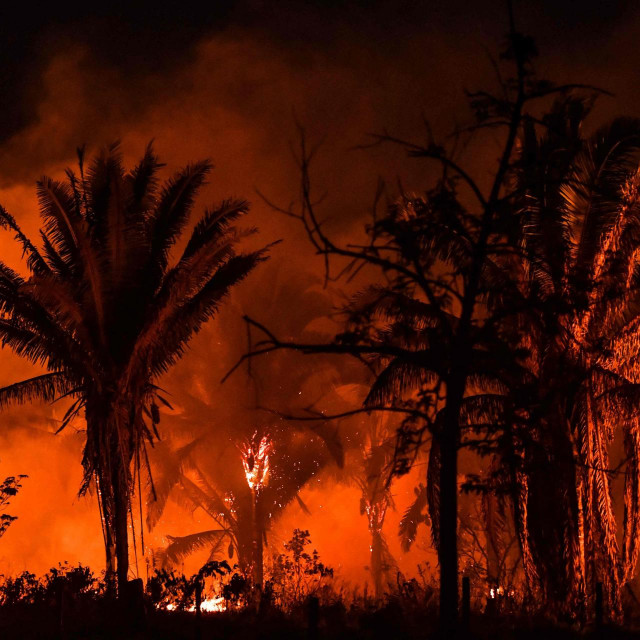 Požar u Amazoni
