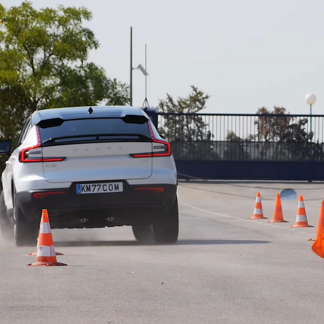 Test sjevernog jelena