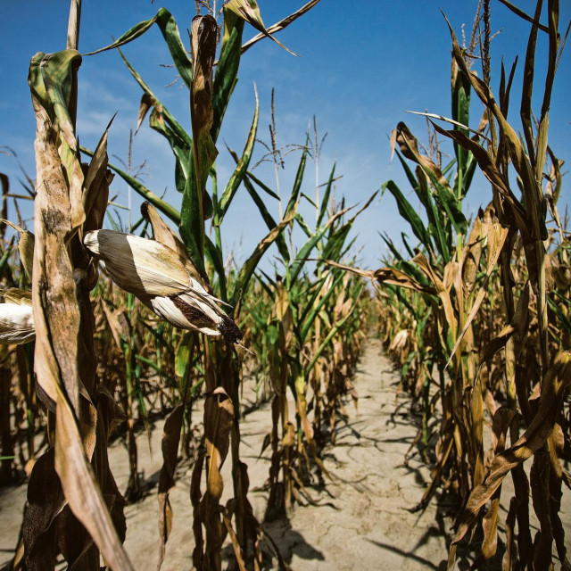 Ilustrativna fotografija