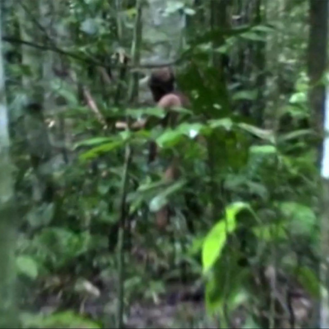 Jedina snimka Čovjeka iz rupe nastala je 2011.