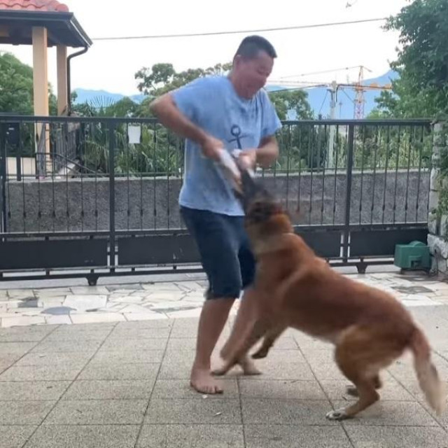 Velimir Vrzic i njegov pas u igri
 