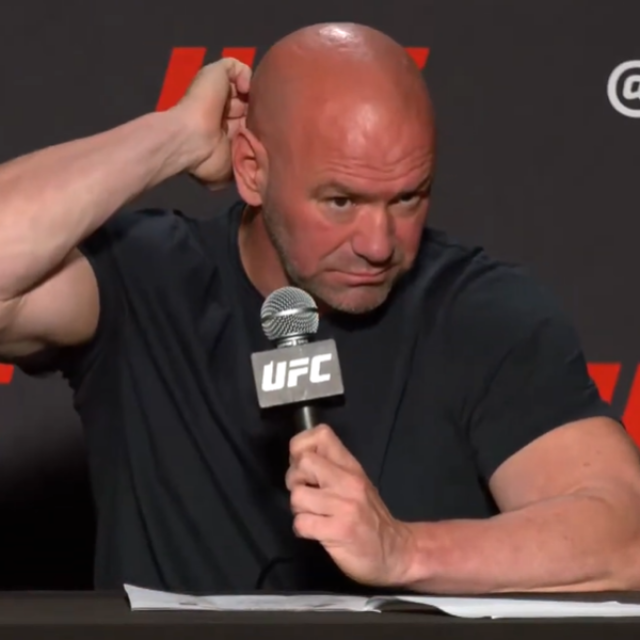 Dana White