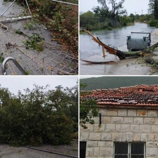 Pijavica u okolici Dubrovnika