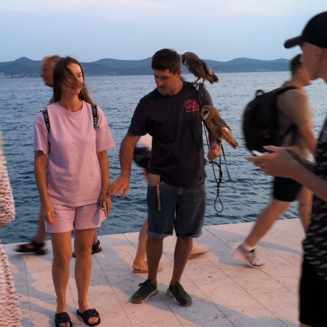 U Zadru se naplaćuje fotografiranje sa sovama