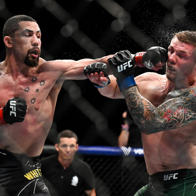 Robert Whittaker vs. Marvin Vettori