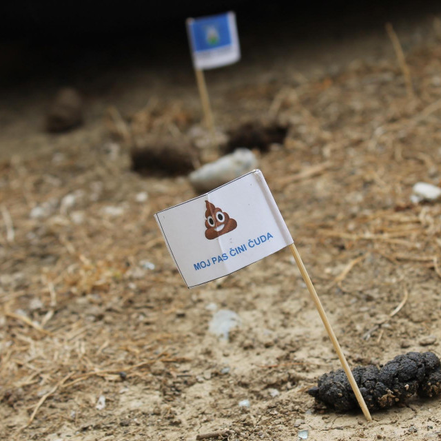 Stanare Primorske dočekale su poruke zbog psećeg izmeta