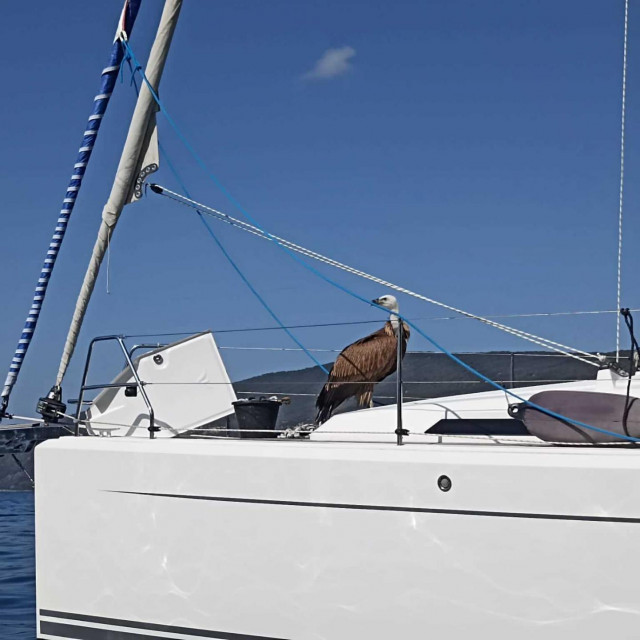 Sup odmara na jedrilici