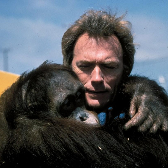 Arhivska fotografija