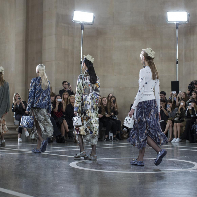 Fotografija: IMAXtree