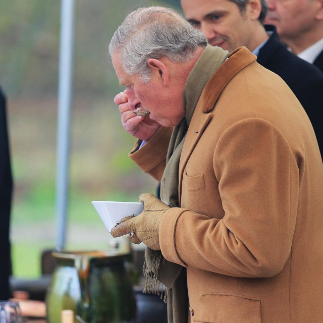 Charles III. u Osijeku 2016. godine
