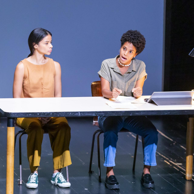 Roman daje priču s dva ženska glasa koja u prvom licu pripovijedaju povijest svoje obitelji