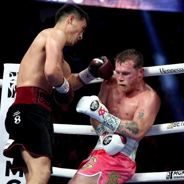 Dmitry Bivol vs. Canelo Alvarez 