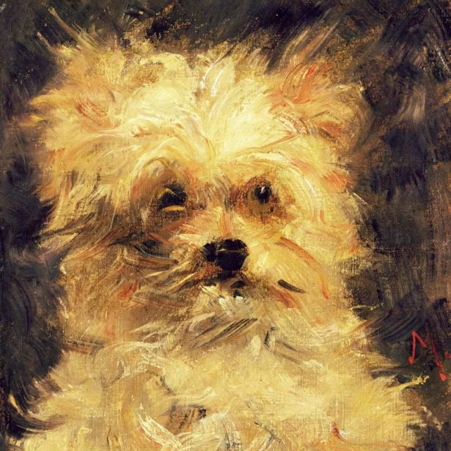 Manet, ‘Pas Bob‘