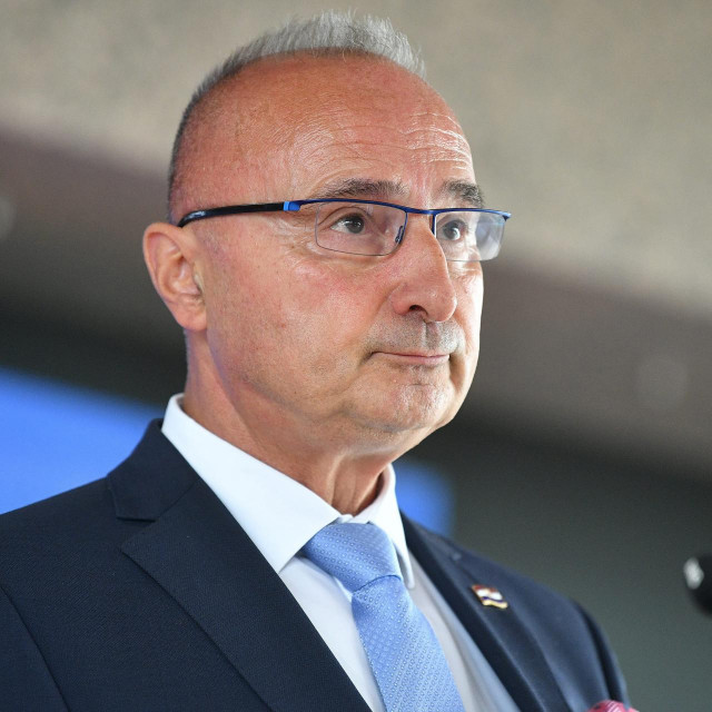 Gordan Grlić Radman