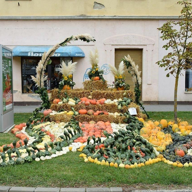 18. Bučijada