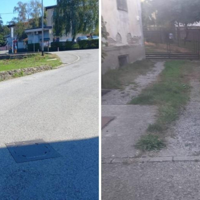 Marina Česnik i pas koji je napao dječaka