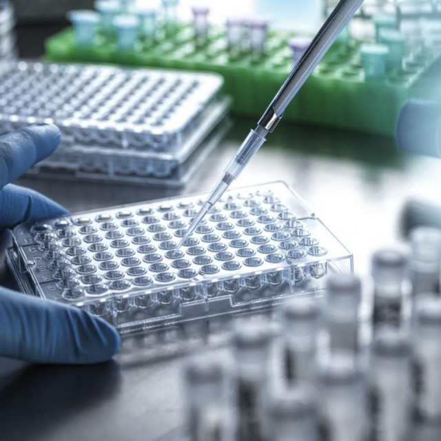 Ilustrativna fotografija