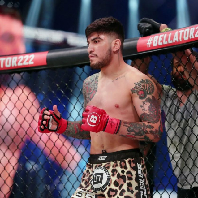 Dillon Danis