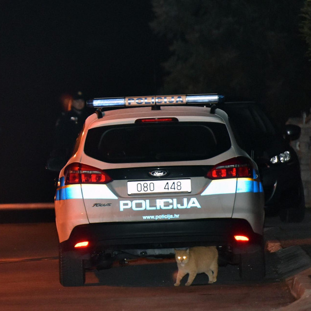 Policija (ilustracija)