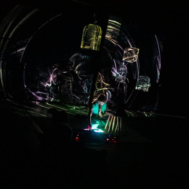 Živu domaću scenu koja se bavi eksperimentima u zvuku i slici predstavljat će umjetnice: Mirjana Vodopija, Dora Fodor (na fotografiji), Branimir Štivić, Hrvoje Radnić, Ivan Marušić Klif i Nataša Devčić. 