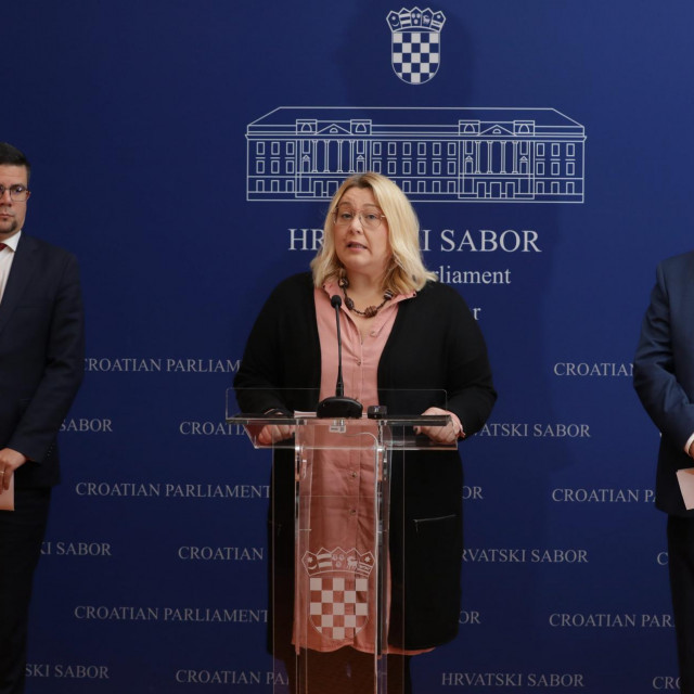 Domagoj Hajduković, Ivana Posavec Krivec i Davorko Vidović