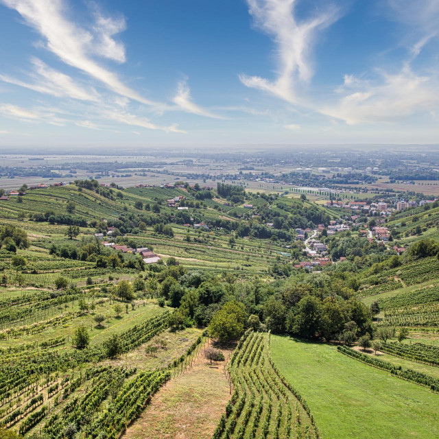 Lendava, pogled s vidikovca Vinarium